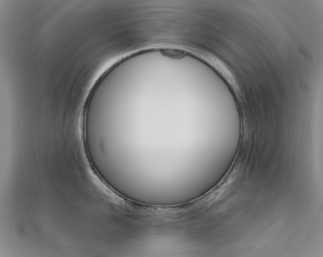 X0000112470958200908170948