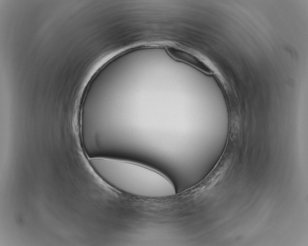 X0000112470959200908170948