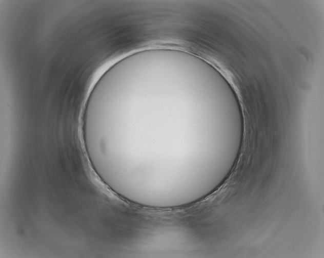 X0000112470960200908170948