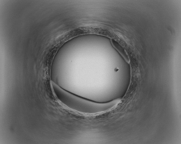 X0000112470965200908170947