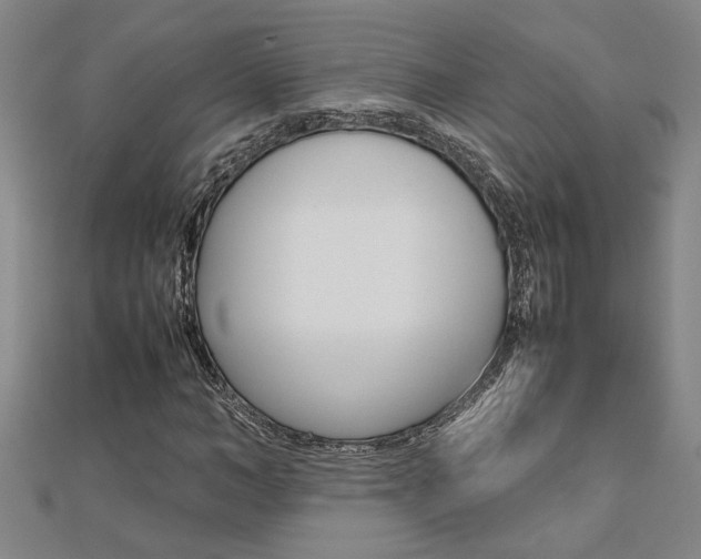 X0000112470966200908170947
