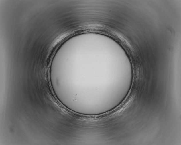 X0000112470970200908170947