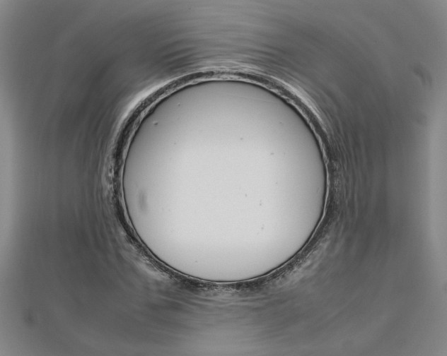 X0000112470971200908170947