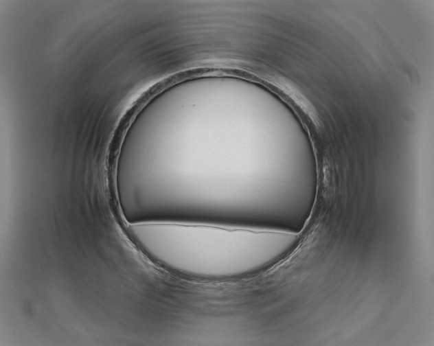 X0000112470972200908170947