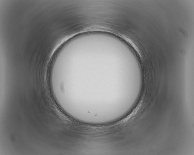 X0000112470973200908170947