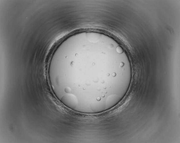 X0000112470974200908170947