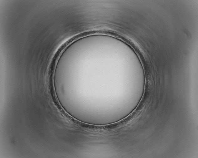 X0000112470975200908170947