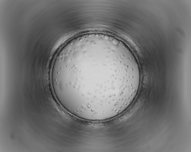 X0000112470978200908170947