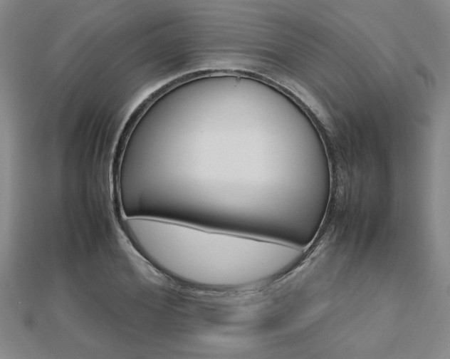 X0000112470980200908170947