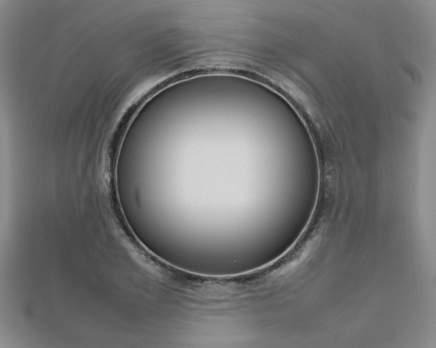 X0000112470981200908170947