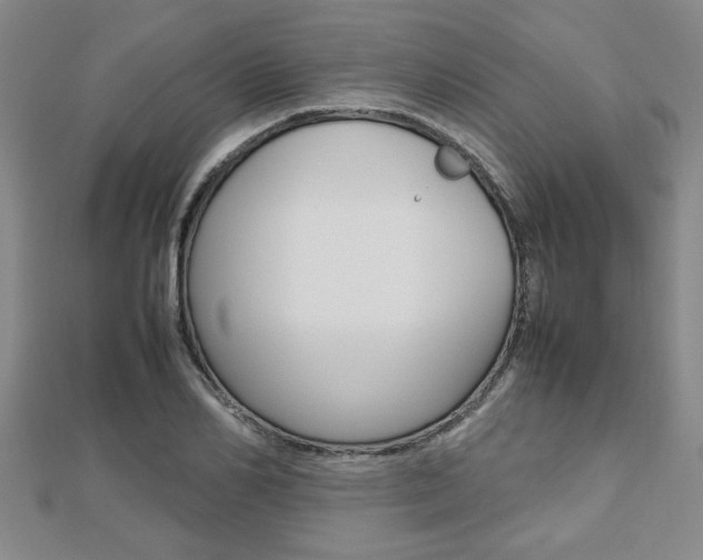 X0000112470982200908170947