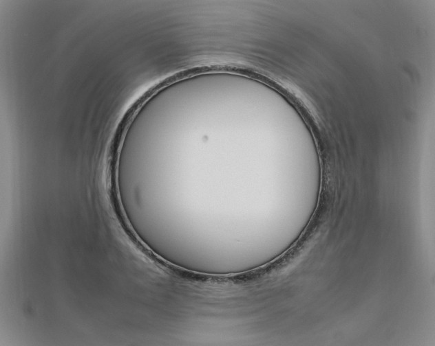 X0000112470983200908170947