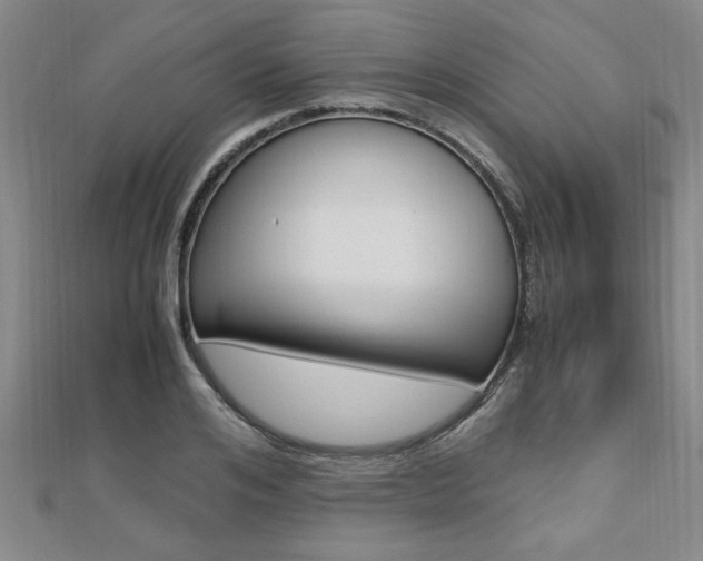 X0000112470984200908170947