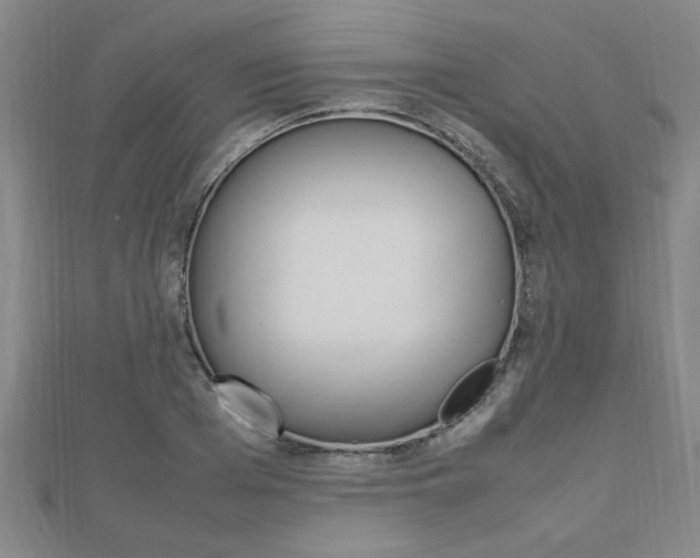 X0000112470985200908170947