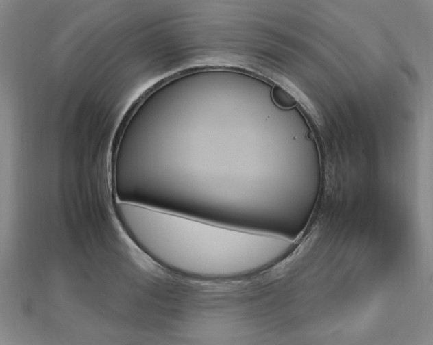 X0000112470988200908170947