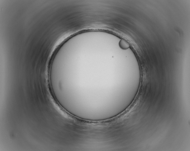 X0000112470990200908170947