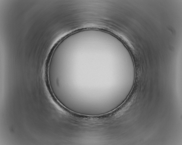 X0000112470991200908170947