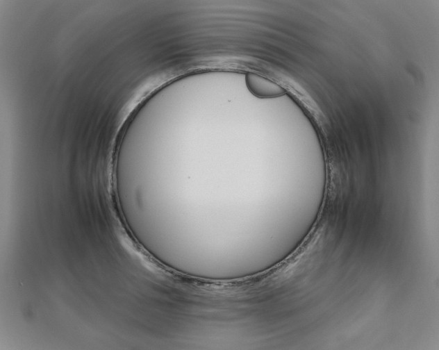 X0000112470994200908170947