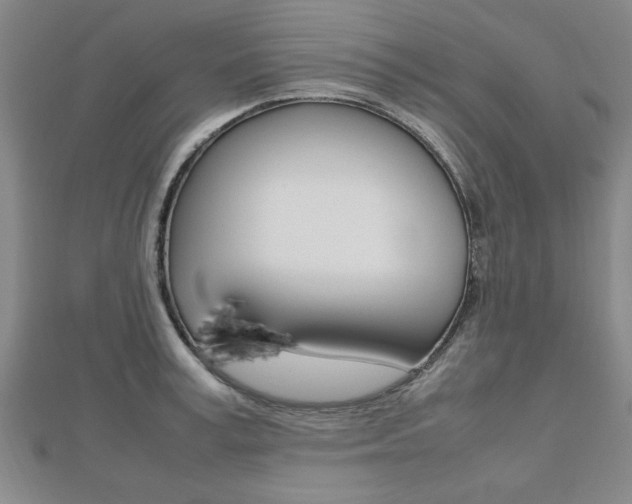 X0000112470995200908170947