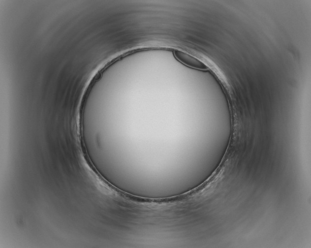 X0000112470996200908170947