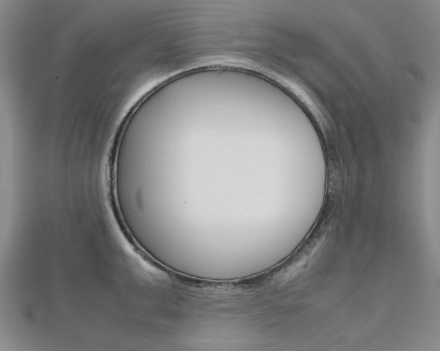 X0000112470999200908170946