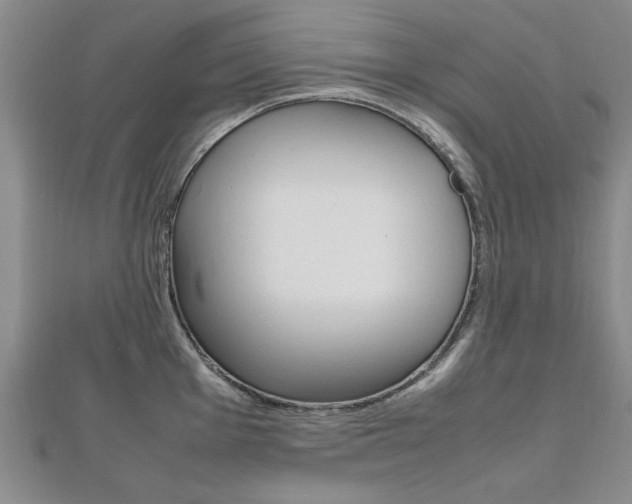 X0000112471001200908170946