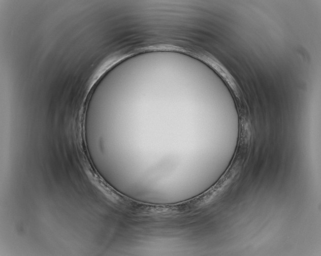 X0000112471002200908170946