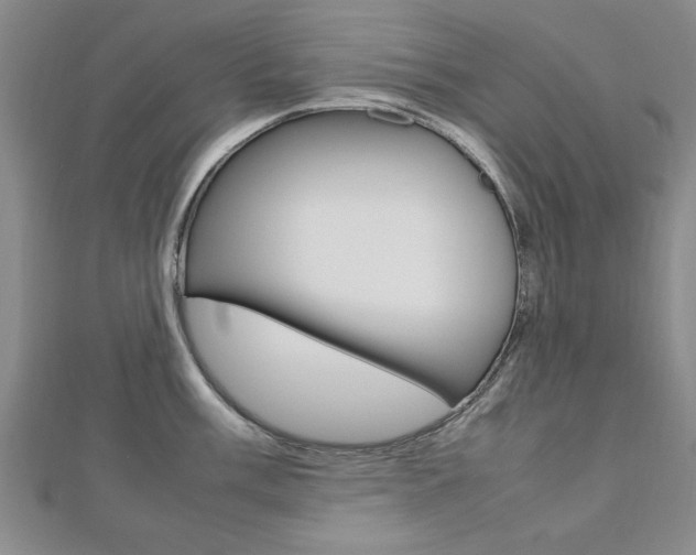 X0000112471003200908170946