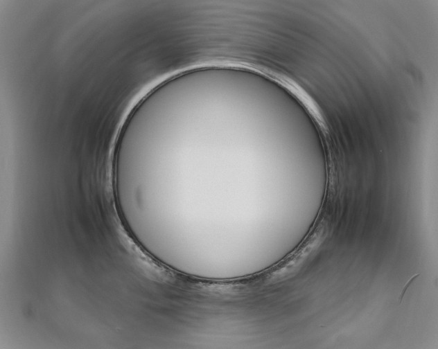 X0000112471004200908170946