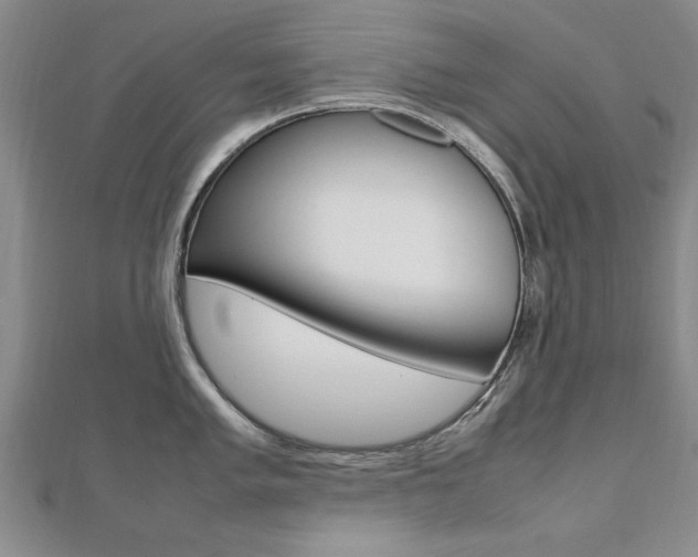 X0000112471005200908170946