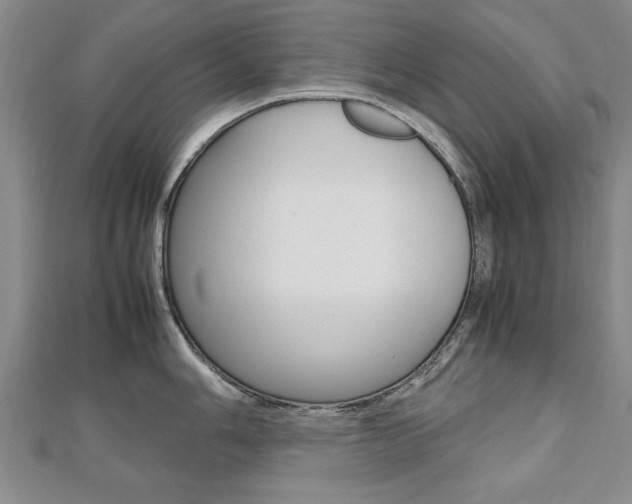 X0000112471006200908170946