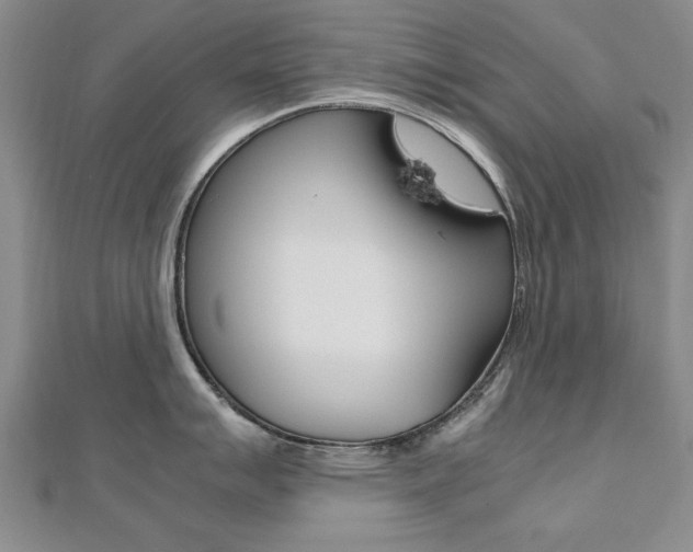 X0000112471007200908170946