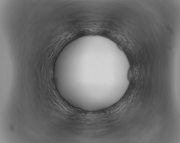 X0000112471009200908170946