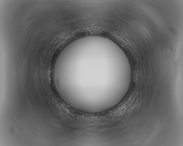 X0000112471010200908170946