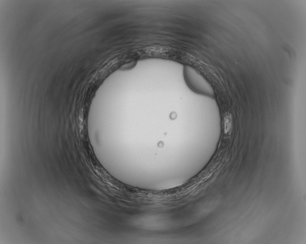 X0000112471011200908170946