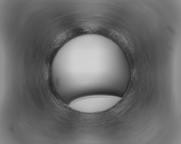 X0000112471012200908170946