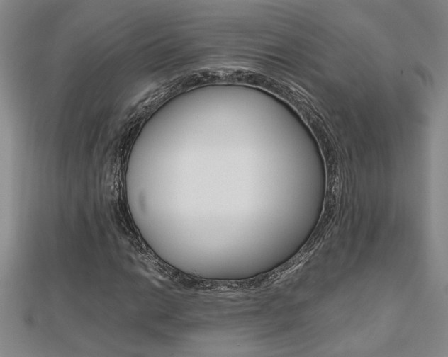 X0000112471014200908170946