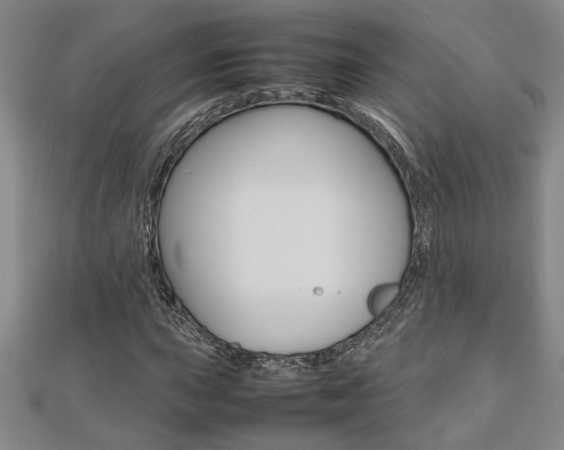 X0000112471015200908170946
