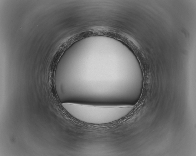 X0000112471016200908170946