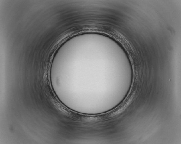 X0000112471017200908170946