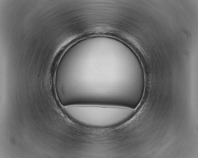 X0000112471018200908170946