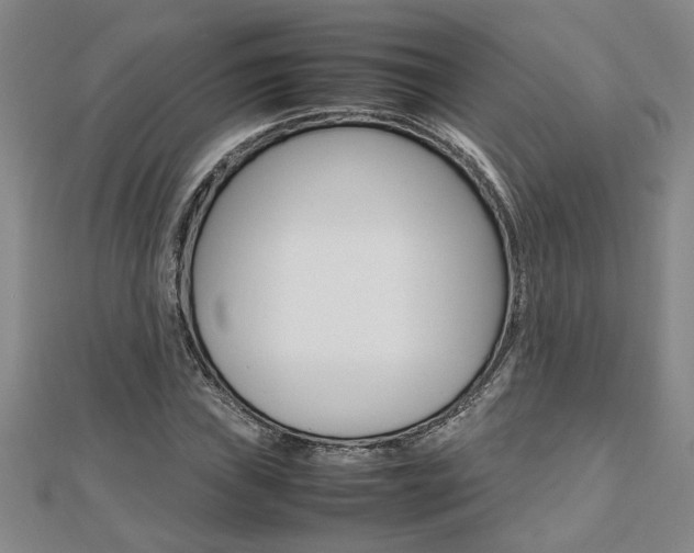 X0000112471019200908170946