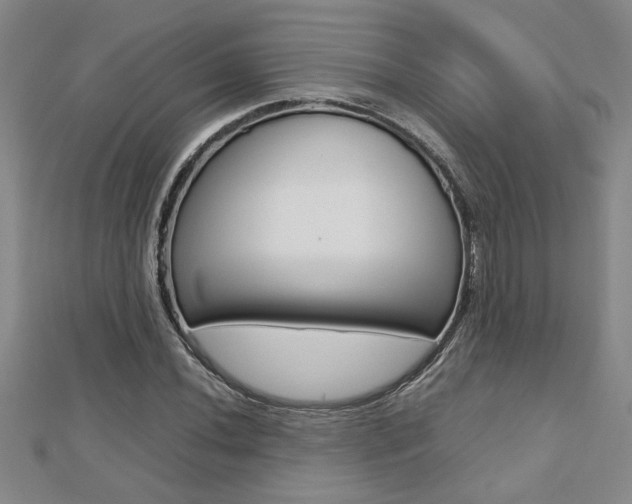 X0000112471020200908170946