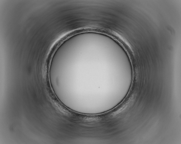 X0000112471021200908170946