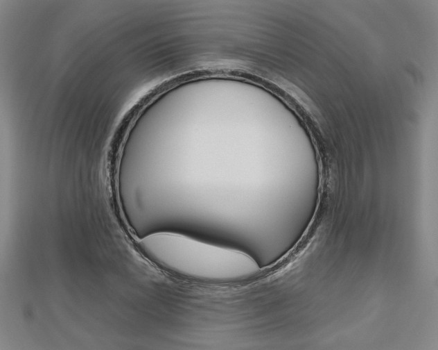X0000112471022200908170946
