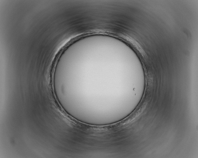 X0000112471023200908170946