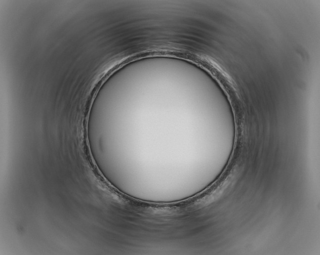 X0000112471025200908170946