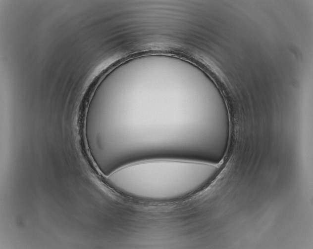 X0000112471026200908170946