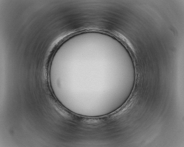 X0000112471027200908170946