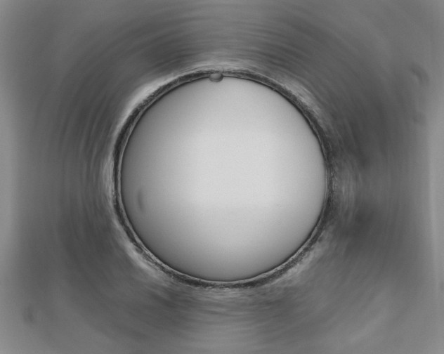 X0000112471030200908170946